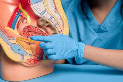 Yardımcı Üreme Teknikleri