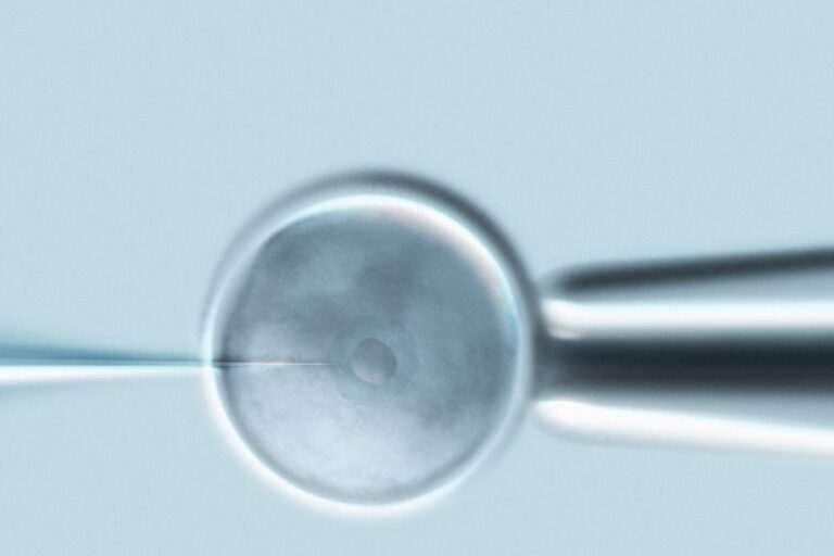 Mikroenjeksiyon-(ICSI)-Yontemi-Nedir