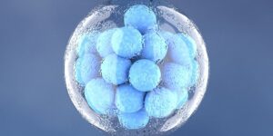 Dondurulmus-Embriyo-Transferi-(FET)-Nedir