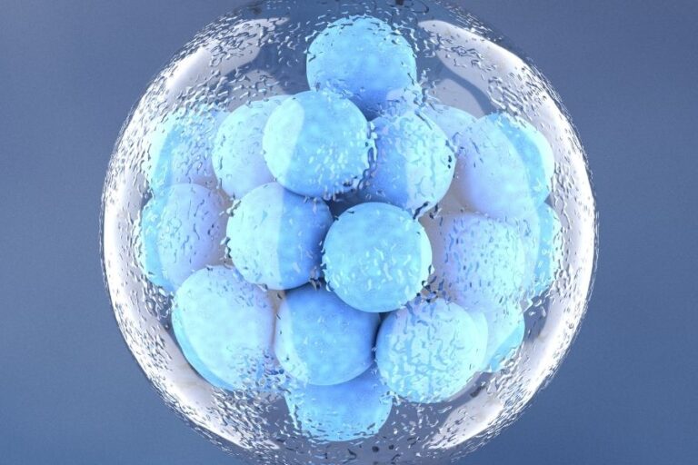 Dondurulmus-Embriyo-Transferi-(FET)-Nedir