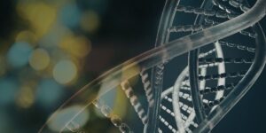 Preimplantasyon-Genetik-Tani